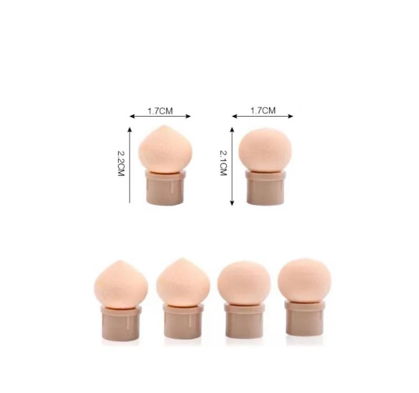 Replacement sponge tool heads